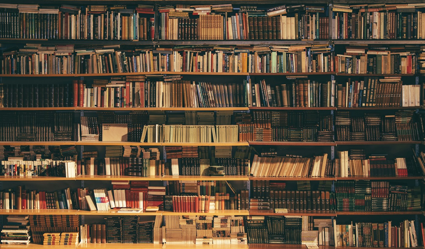 Sunlight falling across shelves of well-worn books in a library